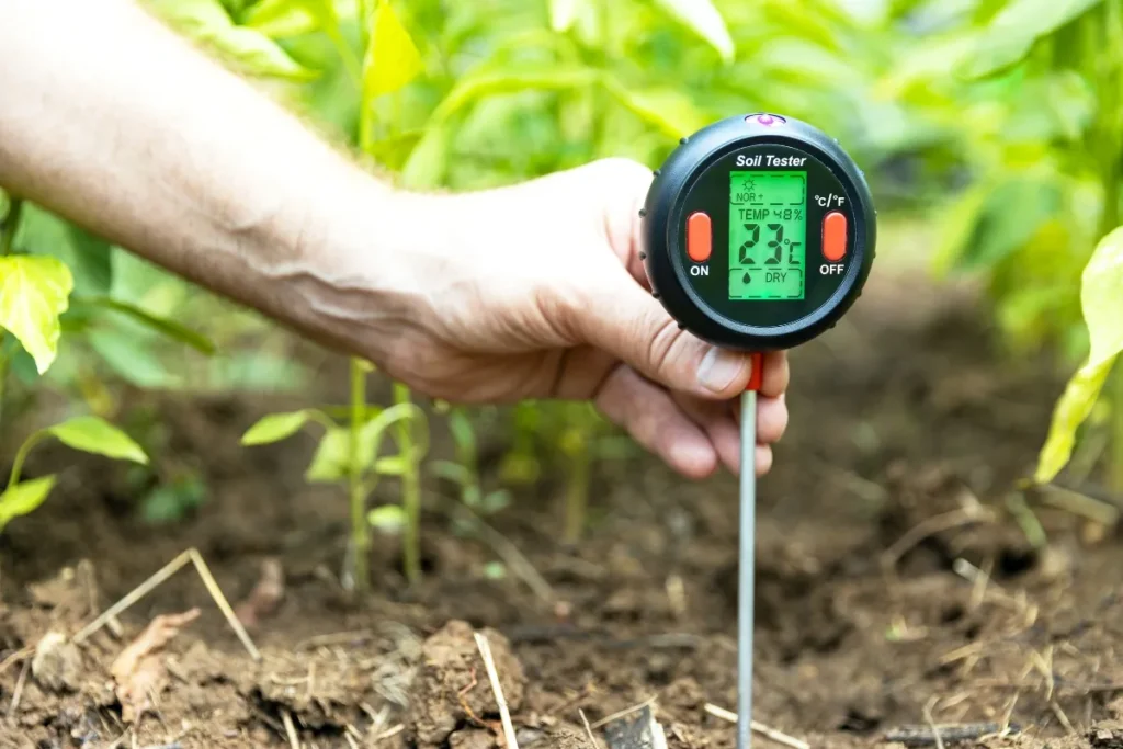 soil percolation test.jpg